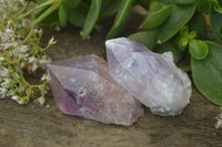 Natural Jacaranda Amethyst Crystals x 12 From Mumbwa, Zambia