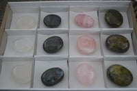 Polished Lovely Mixed Selection Of Palm Stones  x 12 From Madagascar - TopRock