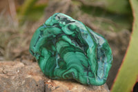 Polished Malachite Free Forms With Stunning Flower & Banding Patterns x 6 From Congo - TopRock