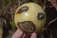 Polished Septaria (Calcite & Aragonite) Spheres  x 4 From Madagascar