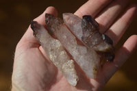 Natural Amethyst Window Quartz Crystals x 12 From Chiredzi, Zimbabwe