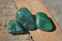 Polished Small Malachite Tumble Stones  x 38 From Congo - Toprock Gemstones and Minerals 