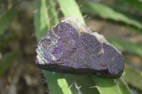 Natural Metallic Purpurite Cobbed Specimens  x 12 From Erongo, Namibia - Toprock Gemstones and Minerals 