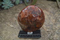 Polished Carnelian Agate Standing Free Forms  x 2 From Madagascar