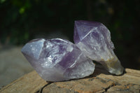 Natural Single Jacaranda Amethyst Crystals  x 6 From Mumbwa, Zambia - Toprock Gemstones and Minerals 