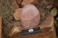 Polished Pink Rose Quartz Standing Free Forms x 2 From Ambatondrazaka, Madagascar - TopRock