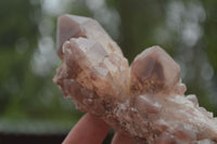 Natural Red Hematoid Quartz Specimens x 3 From Karoi, Zimbabwe - TopRock