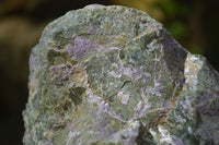 Natural Rough Stichtite & Serpentine Specimens x 2 From Barberton, South Africa