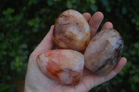 Polished Carnelian Agate Standing Free Forms  x 6 From Madagascar - Toprock Gemstones and Minerals 