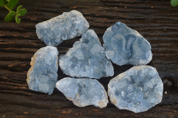 Natural Blue Celestite Crystal Specimens  x 6 From Sakoany, Madagascar - Toprock Gemstones and Minerals 