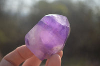 Polished Stunning Large Window Amethyst Crystals x 6 From Ankazobe, Madagascar