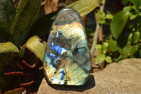 Polished Labradorite Standing Free Forms With Intense Blue & Gold Flash x 3 From Sakoany, Madagascar - TopRock