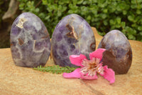 Polished Flower Dream Amethyst Standing Free Forms x 3 From Madagascar - TopRock