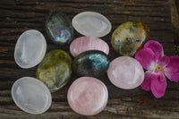 Polished Lovely Mixed Selection Of Palm Stones  x 12 From Madagascar - TopRock