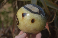 Polished Septaria (Calcite & Aragonite) Spheres  x 4 From Madagascar