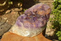 Polished Large Amethyst Agate Display Piece x 1 From Madagascar - TopRock