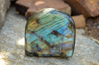 Polished Labradorite Standing Free Forms With Intense Blue & Gold Flash x 3 From Sakoany, Madagascar - TopRock