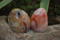 Polished Carnelian Agate Standing Free Forms  x 6 From Madagascar - Toprock Gemstones and Minerals 