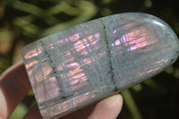 Polished Rare Purple Sunset Labradorite Standing Free Forms  x 6 From Sakoany, Madagascar - TopRock