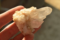 Natural Small Semi Optic Selected Quartz Crystals & Clusters  x 35 From Madagascar - TopRock