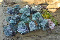 Natural Cobbed & Stone Sealed Watermelon Fluorite Pieces x 12 From Uis, Namibia - TopRock