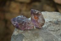 Natural Royal Zulu Window Amethyst Crystals x 20 From, South Africa