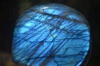 Polished Flash Labradorite & Purple Lepidolite Standing Free Forms  x 2 From Madagascar - Toprock Gemstones and Minerals 