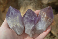 Natural Jacaranda Amethyst Crystals x 12 From Mumbwa, Zambia