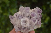 Natural Sugar Amethyst Clusters  x 6 From Solwezi, Zambia