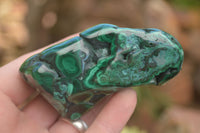 Polished Malachite Free Forms With Stunning Flower & Banding Patterns x 6 From Congo - TopRock