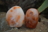 Polished Carnelian Agate Standing Free Forms  x 6 From Madagascar - Toprock Gemstones and Minerals 