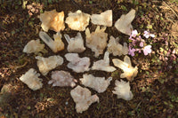 Natural Small Mixed Quartz Clusters With Nice Intact Crystals  x 35 From Madagascar - TopRock