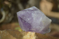 Natural Jacaranda Amethyst Crystals x 12 From Mumbwa, Zambia