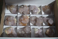 Natural Spirit Amethyst Cactus Quartz Clusters  x 12 From Boekenhouthoek, South Africa - Toprock Gemstones and Minerals 