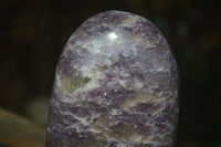 Polished Flash Labradorite & Purple Lepidolite Standing Free Forms  x 2 From Madagascar - Toprock Gemstones and Minerals 