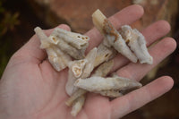 Natural Hollow Drusy Coated Calcite Pseudomorph Crystals  x 7 From Alberts Mountain, Lesotho - TopRock