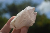 Natural Cascading Pineapple Quartz Crystals  x 24 From Madagascar - TopRock