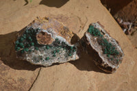 Natural Rare Ball Malachite On Drusi Quartz & Dolomite Matrix (A Grade) x 2 From Kambove, Namibia - Toprock Gemstones and Minerals 