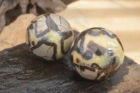 Polished Septaria (Calcite & Aragonite) Spheres  x 4 From Madagascar