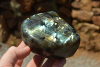 Polished Labradorite Standing Free Forms With Intense Blue & Gold Flash x 3 From Sakoany, Madagascar - TopRock