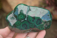 Polished Malachite Free Forms With Stunning Flower & Banding Patterns x 6 From Congo - TopRock