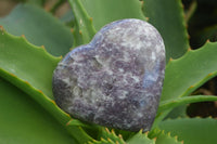 Polished Purple Lepidolite Hearts With Pink Rubellite On Some  x 6 From Madagascar - Toprock Gemstones and Minerals 