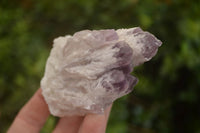 Natural Sugar Amethyst Clusters  x 6 From Solwezi, Zambia