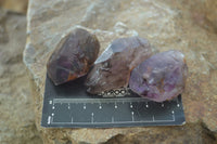 Natural Royal Zulu Window Amethyst Crystals x 20 From, South Africa