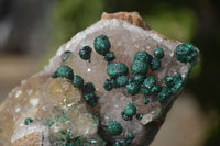 Natural Rare Ball Malachite On Drusy Quartz & Dolomite Matrix  x 2 From Kambove, Congo - Toprock Gemstones and Minerals 