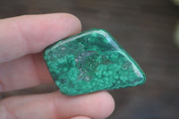 Polished Small Malachite Tumble Stones  x 38 From Congo - Toprock Gemstones and Minerals 