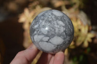 Polished White Howlite Spheres  x 6 From Zimbabwe