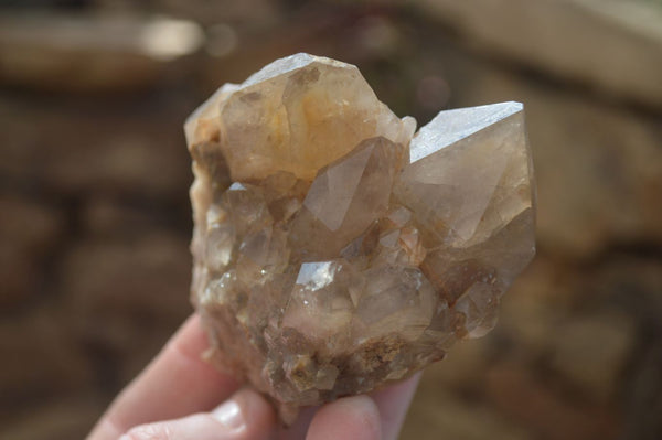 Natural Cascading White Phantom Smokey Quartz Crystals x 6 From Luena, Congo