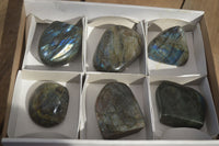 Polished Labradorite Standing Free Forms  x 6 From Tulear, Madagascar