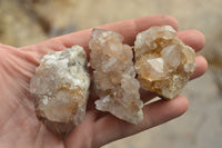 Natural Mixed Spirit Quartz Clusters  x 35 From Boekenhouthoek, South Africa - TopRock